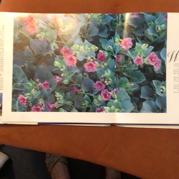 WILDFLOWERS OF THE AMERICAN WEST • HARDCOVER COFFEE TABLE BOOK - Picture 8 of 15